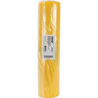 Doublures pour d&eacute;chets dangereux, Amiante, 40" lo x 26" la, 3 mils Oxford Builders Supplies Inc