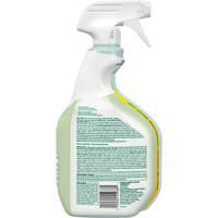 CloroxPro Clorox EcoClean Disinfecting Cleaner, 946 ml, Trigger Bottle Oxford Builders Supplies Inc