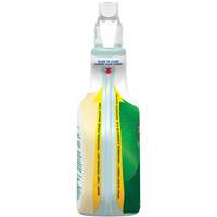 CloroxPro Clorox EcoClean All-Purpose Cleaner, 946 ml, Trigger Bottle Oxford Builders Supplies Inc