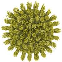 Brosse ronde HyDrive pour perceuse, Soies Tr&egrave;s ferme, Longueur de 3-1/10", Jaune Oxford Builders Supplies Inc