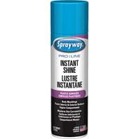 Pro Line Instant Shine for Plastic Surfaces, 11 oz., Aerosol Can Oxford Builders Supplies Inc
