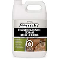 Floor Repair Preparation & Treatments