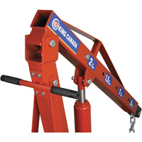 Grues d'atelier escamotables de 2 tonnes, Capacit&eacute; 4000 lb (2 tonnes) Oxford Builders Supplies Inc