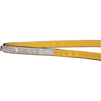&eacute;lingues de levage en polyester, Pli Simple, Sans fin, Type 5, 1" la x 3' lo, Capacit&eacute; verticale 3200 lb Oxford Builders Supplies Inc
