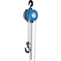 Tralift&reg; Manual Chain Hoist, 10' Lift, 4000 lbs. (2 tons) Capacity, Grade 80 Chain Oxford Builders Supplies Inc
