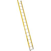 Single Section Straight Ladder - 6100 Series, 14', Fibreglass, 375 lbs., CSA Grade 1AA Oxford Builders Supplies Inc
