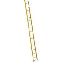 Single Section Straight Ladder - 6100 Series, 16', Fibreglass, 375 lbs., CSA Grade 1AA Oxford Builders Supplies Inc