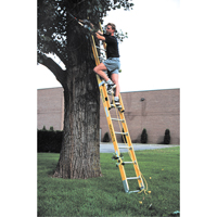 Industrial Heavy-Duty Extension Ladders (6200 Series), 375 lbs. Cap., 13' H, Grade 1AA Oxford Builders Supplies Inc