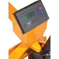 Digital Scale Pallet Truck, 27.5" L x 27.5" W, 5000 lbs. Cap. Oxford Builders Supplies Inc