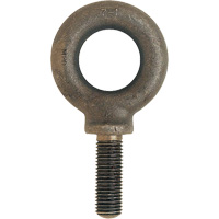 Boulon &agrave; œil SAE, 1-1/4" dia, 1-5/8" lo, 3200 lb (1,6 tonne) capacit&eacute; Oxford Builders Supplies Inc