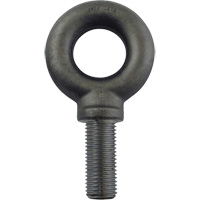Alloy Steel Eye Bolt, 2-1/2" Dia., 3-1/2" L, 26600 lbs. (13.3 tons)/26600 lbs. Capacity Oxford Builders Supplies Inc