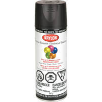 Laque industrielle Acryli-Quik, Noir, Semi-mat, 12 oz, Canette a&eacute;rosol Oxford Builders Supplies Inc