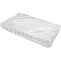 B&acirc;che isol&eacute;e, Poly&eacute;thyl&egrave;ne, Blanc, 20' x 12' x 8 mils Oxford Builders Supplies Inc