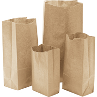 Paper Bags, Paper, 4-13/16" W x 8-1/2" L Oxford Builders Supplies Inc
