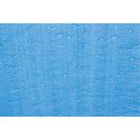 B&acirc;che, Standard, Bleu, 7' x 5' x 4 mils Oxford Builders Supplies Inc