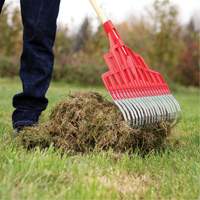 R&acirc;teau pour usage multiple, Lame 20", 20 dents, Manche Bois dur, Lame Acier Oxford Builders Supplies Inc