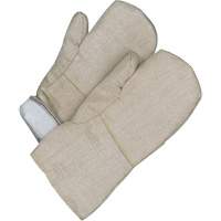 Gander Brand Mitt, Fibreglass, One Size, Protects Up To 608° F (320° C ) Oxford Builders Supplies Inc