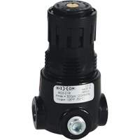 Wilkerson Miniature Regulator R03, 1/8" NPT, 300 psi Max. PSI, Standard Oxford Builders Supplies Inc