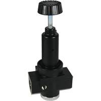 Wilkerson High Flow Regulator R30, 3/4" NPT, 300 psi Max. PSI, Standard Oxford Builders Supplies Inc