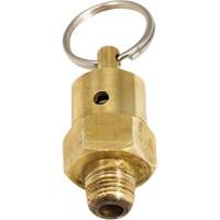 Viton&reg; Pressure Relief Valve Oxford Builders Supplies Inc