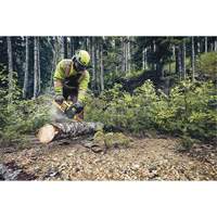 Flexvolt&reg; Cordless Chainsaw, 16", Battery Powered, 60 V Oxford Builders Supplies Inc
