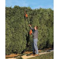 Max* Cordless Pole Hedge Trimmer Kit Oxford Builders Supplies Inc