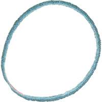 Scotch-Brite Surface Conditioning Belt Oxford Builders Supplies Inc