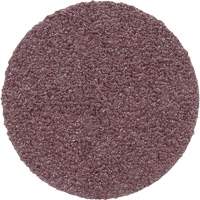PSA Cloth Disc 348D, 20" Dia., 60 Grit, Aluminum Oxide Oxford Builders Supplies Inc
