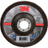 769F Flap Disc, 5" x 7/8", Type 29, 80+ Grit, Ceramic Oxford Builders Supplies Inc
