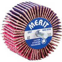 Threaded Mini Flap Wheel, Ceramic Alumina, 40 Grit, 2" x 1" x 1/4"-20 Oxford Builders Supplies Inc