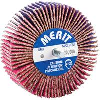 Threaded Mini Flap Wheel, Ceramic Alumina, 40 Grit, 3" x 1" x 1/4"-20 Oxford Builders Supplies Inc