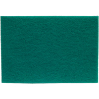 Tampons manuels Bear-Tex, Oxyde d'aluminium, 6" x 9", Grain Tr&egrave;s fin Oxford Builders Supplies Inc