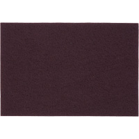 Tampons manuels Bear-Tex, Oxyde d'aluminium, 6" x 9", Grain Tr&egrave;s fin Oxford Builders Supplies Inc