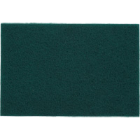 Tampons manuels Bear-Tex, Oxyde d'aluminium, 6" x 9", Grain Tr&egrave;s fin Oxford Builders Supplies Inc