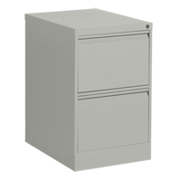 Vertical Filing Cabinet, Steel, 2 Drawers, 18-1/7" W x 25" D x 29" H, Grey Oxford Builders Supplies Inc