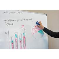 Whiteboard Eraser Oxford Builders Supplies Inc