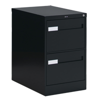 Vertical Filing Cabinet with Recessed Drawer Handles, 2 Drawers, 18.15" W x 26.56" D x 29" H, Black Oxford Builders Supplies Inc