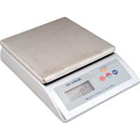 Platform Scale, 2000 g Capacity Oxford Builders Supplies Inc
