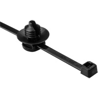 Attaches de c&acirc;bles/supports pour sapin Oxford Builders Supplies Inc