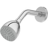 One-Function Showerhead Oxford Builders Supplies Inc