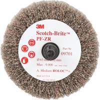 Scotch-Brite Roloc Cut and Polish Flap Brush, PF-ZR, Aluminum Oxide, Medium Grit, 2-1/2" x 1-1/4" Oxford Builders Supplies Inc