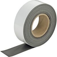 Write-On Magnetic Tags, Magnetic, 600" L x 2" W Oxford Builders Supplies Inc