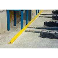Rails protecteurs arr&ecirc;ts de charge avec ancrage au sol, Acier, 48" lo x 5" h, Jaune Oxford Builders Supplies Inc