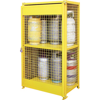 Gas Cylinder Cabinets, 12 Cylinder Capacity, 44" W x 30" D x 74" H, Yellow Oxford Builders Supplies Inc