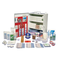 Workplace Deluxe First Aid Kits, Class 1 Medical Device, Metal Box Oxford Builders Supplies Inc