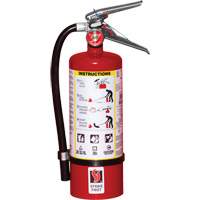 Fire Extinguisher, ABC, 5 lbs. Capacity Oxford Builders Supplies Inc