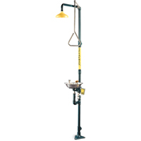 Safe-T-Zone&reg; Combination Shower & Eye/Face Wash Oxford Builders Supplies Inc