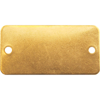 Blank Tags, Brass, 3" W x 1" H Oxford Builders Supplies Inc