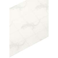 Premium Anti-Skid Tape, 4" x 60', Clear Oxford Builders Supplies Inc