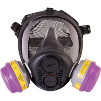 Respirateur &agrave; masque complet de s&eacute;rie RU6500 de North, Silicone, Petit Oxford Builders Supplies Inc